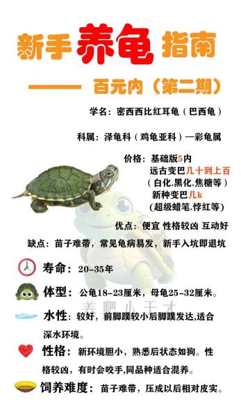 巴西龟吃什么/巴西龟吃什么龟粮-第5张图片 巴西龟吃什么/巴西龟吃什么龟粮-第5张图片