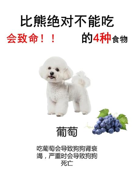狗狗能吃苹果吗,博美狗狗能吃苹果吗-第3张图片 狗狗能吃苹果吗,博美狗狗能吃苹果吗-第3张图片