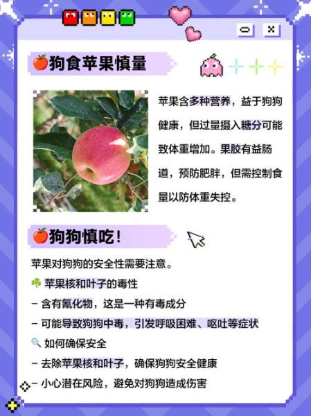 狗狗能吃苹果吗,博美狗狗能吃苹果吗-第5张图片 狗狗能吃苹果吗,博美狗狗能吃苹果吗-第5张图片