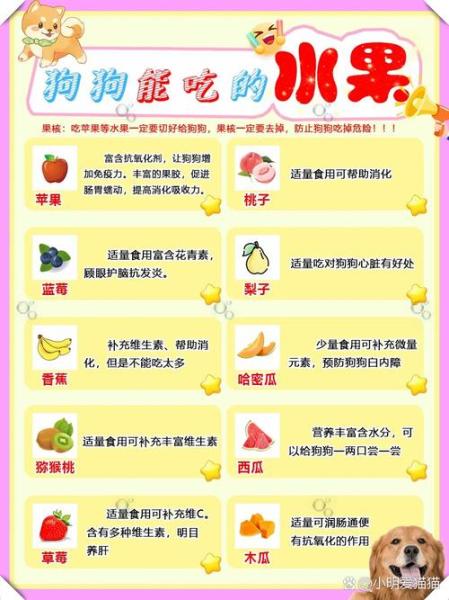 狗狗能吃苹果吗,博美狗狗能吃苹果吗-第9张图片 狗狗能吃苹果吗,博美狗狗能吃苹果吗-第9张图片