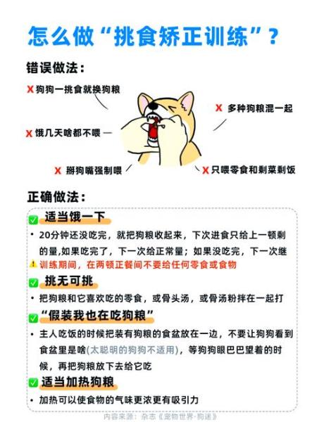 泰迪狗狗挑食怎么办-泰迪爱挑食怎么办,专治挑食的妙招-第4张图片 泰迪狗狗挑食怎么办-泰迪爱挑食怎么办,专治挑食的妙招-第4张图片