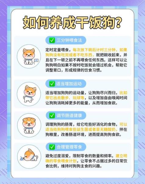 泰迪狗狗挑食怎么办-泰迪爱挑食怎么办,专治挑食的妙招-第7张图片 泰迪狗狗挑食怎么办-泰迪爱挑食怎么办,专治挑食的妙招-第7张图片