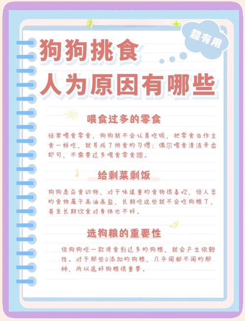 泰迪狗狗挑食怎么办-泰迪爱挑食怎么办,专治挑食的妙招-第10张图片 泰迪狗狗挑食怎么办-泰迪爱挑食怎么办,专治挑食的妙招-第10张图片
