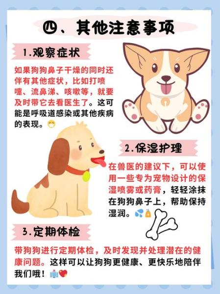 狗鼻子干干的怎么办,狗鼻子干是怎么了-第1张图片 狗鼻子干干的怎么办,狗鼻子干是怎么了-第1张图片