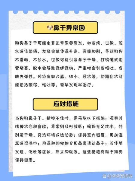 狗鼻子干干的怎么办,狗鼻子干是怎么了-第7张图片 狗鼻子干干的怎么办,狗鼻子干是怎么了-第7张图片