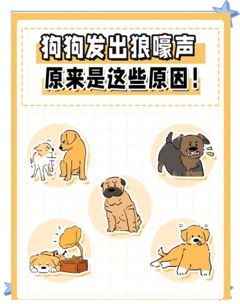 哈士奇狼吼的原因，哈士奇狼叫怎么办