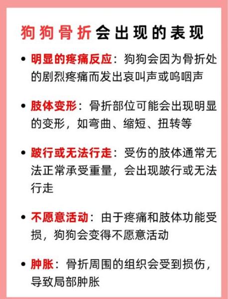 狗狗骨折能自愈吗,狗狗骨折了怎么办自救-第2张图片 狗狗骨折能自愈吗,狗狗骨折了怎么办自救-第2张图片