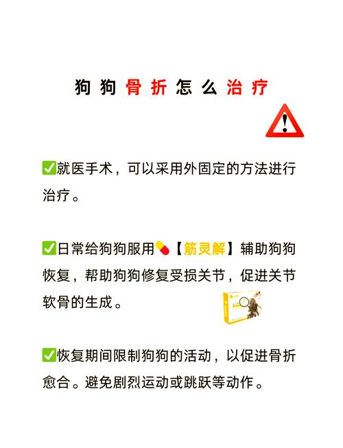 狗狗骨折能自愈吗,狗狗骨折了怎么办自救-第5张图片 狗狗骨折能自愈吗,狗狗骨折了怎么办自救-第5张图片