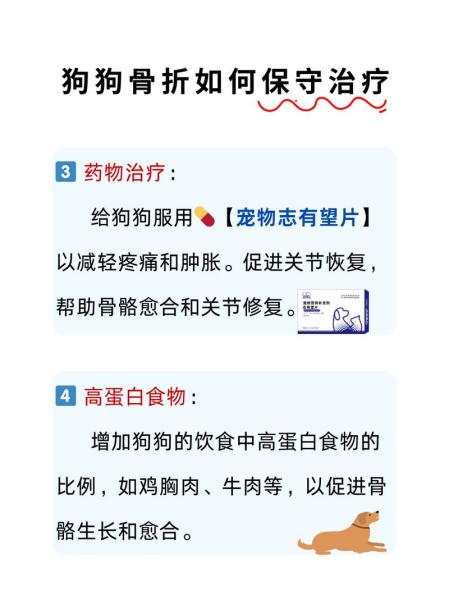 狗狗骨折能自愈吗,狗狗骨折了怎么办自救-第6张图片 狗狗骨折能自愈吗,狗狗骨折了怎么办自救-第6张图片