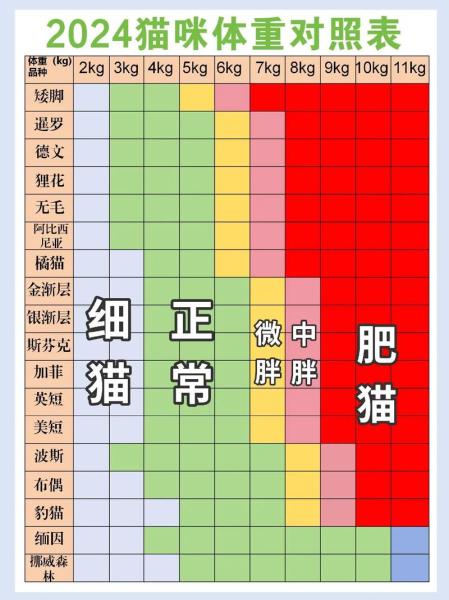 解析“猫的体重”你不知道的事-第2张图片 解析“猫的体重”你不知道的事-第2张图片