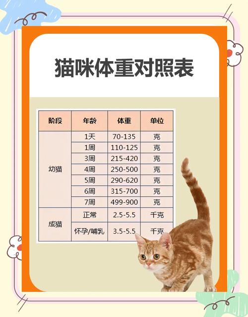 解析“猫的体重”你不知道的事-第3张图片 解析“猫的体重”你不知道的事-第3张图片