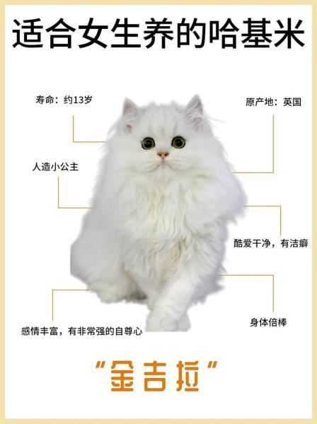 解析“猫的体重”你不知道的事-第5张图片 解析“猫的体重”你不知道的事-第5张图片