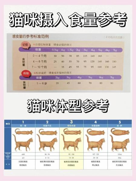猫一天吃多少猫粮-40天小猫一天吃多少猫粮-第4张图片 猫一天吃多少猫粮-40天小猫一天吃多少猫粮-第4张图片