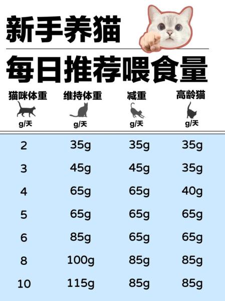猫一天吃多少猫粮-40天小猫一天吃多少猫粮-第6张图片 猫一天吃多少猫粮-40天小猫一天吃多少猫粮-第6张图片