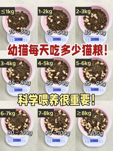 猫一天吃多少猫粮-40天小猫一天吃多少猫粮-第7张图片 猫一天吃多少猫粮-40天小猫一天吃多少猫粮-第7张图片