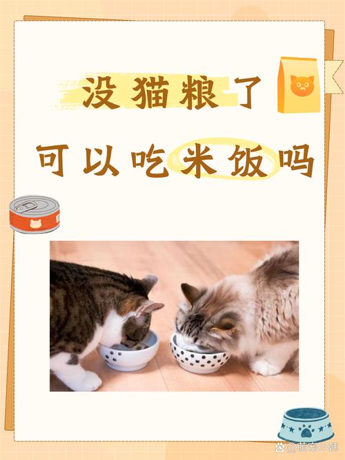 猫咪可以吃小米粥吗/小猫能不能吃小米粥-第4张图片 猫咪可以吃小米粥吗/小猫能不能吃小米粥-第4张图片