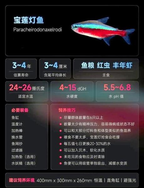 作为消费者“100条宝莲灯需要多大鱼缸”你不能不知道-第1张图片 作为消费者“100条宝莲灯需要多大鱼缸”你不能不知道-第1张图片
