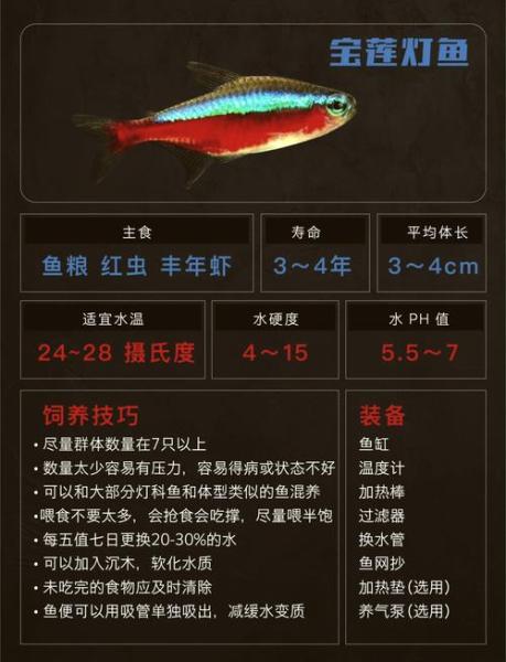 作为消费者“100条宝莲灯需要多大鱼缸”你不能不知道-第4张图片 作为消费者“100条宝莲灯需要多大鱼缸”你不能不知道-第4张图片
