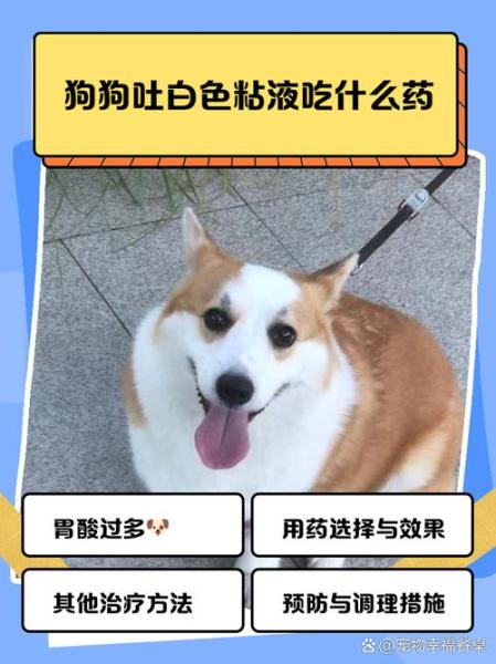 狗狗咳嗽吃什么药-狗狗咳嗽吃什么药止咳效果好-第2张图片 狗狗咳嗽吃什么药-狗狗咳嗽吃什么药止咳效果好-第2张图片