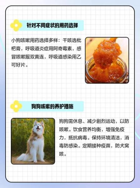 狗狗咳嗽吃什么药-狗狗咳嗽吃什么药止咳效果好-第7张图片 狗狗咳嗽吃什么药-狗狗咳嗽吃什么药止咳效果好-第7张图片