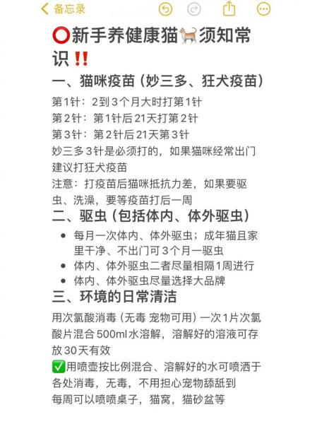 猫猫打疫苗注意什么/猫咪打疫苗期间要注意-第3张图片 猫猫打疫苗注意什么/猫咪打疫苗期间要注意-第3张图片