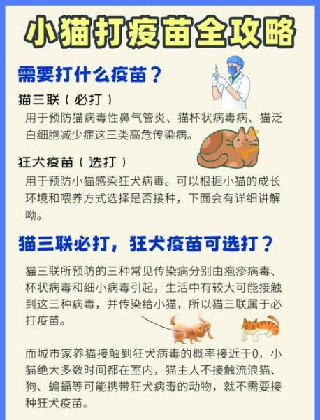 猫猫打疫苗注意什么/猫咪打疫苗期间要注意-第6张图片 猫猫打疫苗注意什么/猫咪打疫苗期间要注意-第6张图片