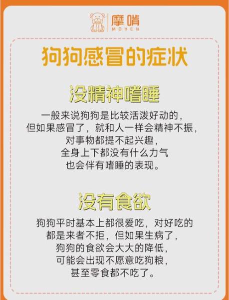 解析“狗狗感冒了有什么症状”你不知道的事-第3张图片 解析“狗狗感冒了有什么症状”你不知道的事-第3张图片