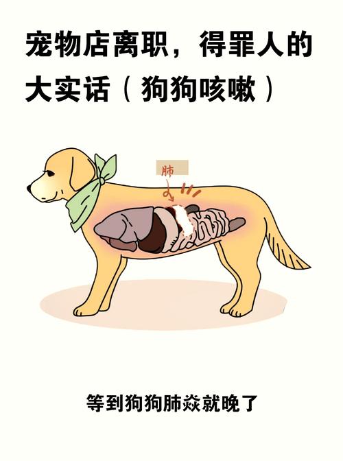 解析“狗狗感冒了有什么症状”你不知道的事-第4张图片 解析“狗狗感冒了有什么症状”你不知道的事-第4张图片