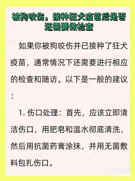 被自家宠物狗咬了怎么办,被自家宠物狗咬伤了需要打疫苗吗-第1张图片 被自家宠物狗咬了怎么办,被自家宠物狗咬伤了需要打疫苗吗-第1张图片