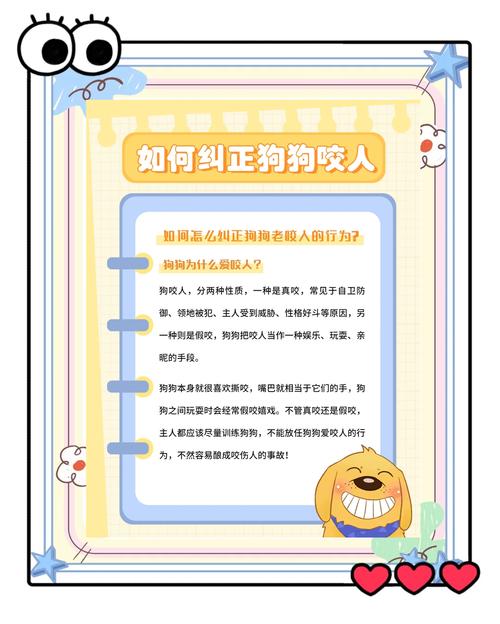 被自家宠物狗咬了怎么办,被自家宠物狗咬伤了需要打疫苗吗-第4张图片 被自家宠物狗咬了怎么办,被自家宠物狗咬伤了需要打疫苗吗-第4张图片