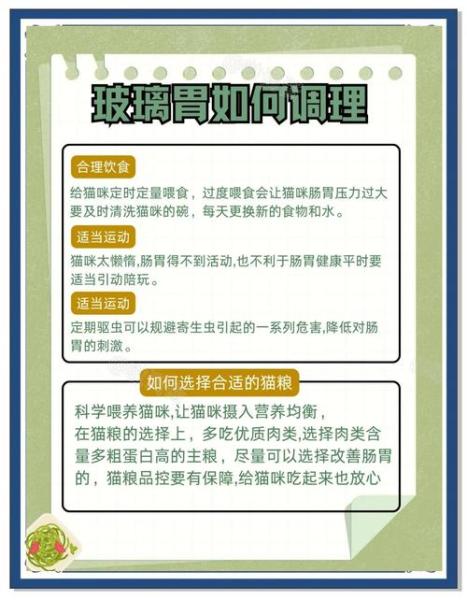 玻璃猫怎么养,玻璃猫凶不凶-第5张图片 玻璃猫怎么养,玻璃猫凶不凶-第5张图片