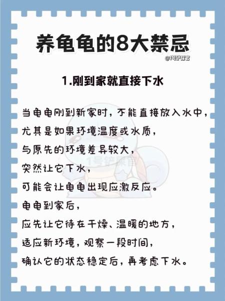 家里可以养乌龟吗-家里可以养乌龟吗风水大师-第7张图片 家里可以养乌龟吗-家里可以养乌龟吗风水大师-第7张图片