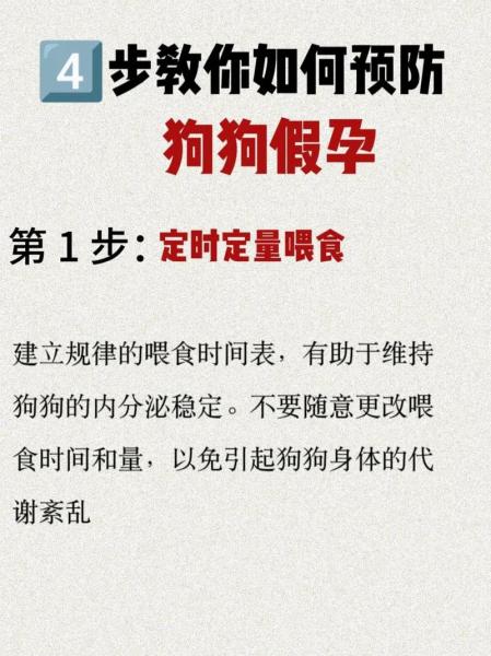 解析“怎样防止狗狗怀孕”你不知道的事-第8张图片 解析“怎样防止狗狗怀孕”你不知道的事-第8张图片