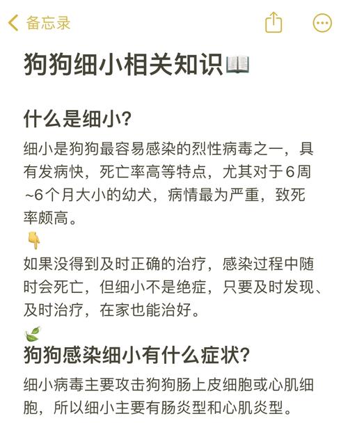 什么是狗狗细小/什么是狗狗细小病毒-第1张图片 什么是狗狗细小/什么是狗狗细小病毒-第1张图片