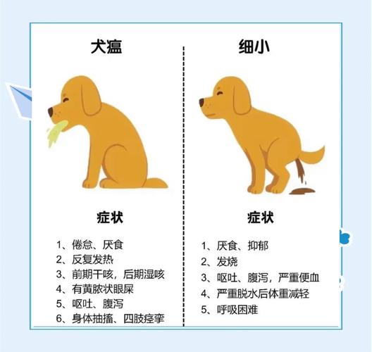 什么是狗狗细小/什么是狗狗细小病毒-第8张图片 什么是狗狗细小/什么是狗狗细小病毒-第8张图片
