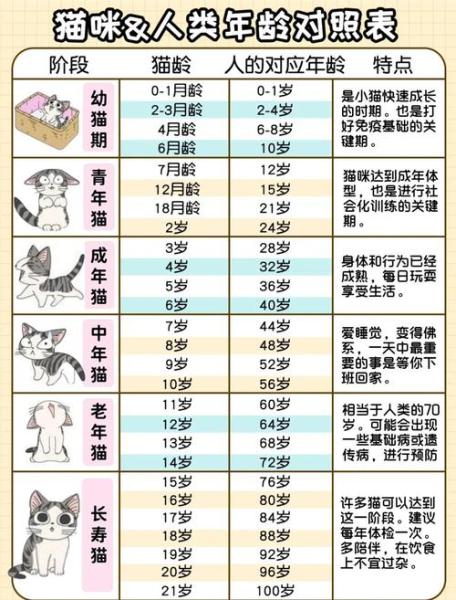 作为消费者“猫咪几岁算成年”你不能不知道