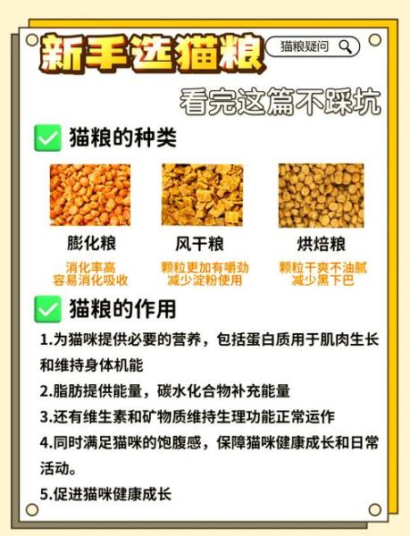 作为消费者“猫咪几岁算成年”你不能不知道-第2张图片 作为消费者“猫咪几岁算成年”你不能不知道-第2张图片