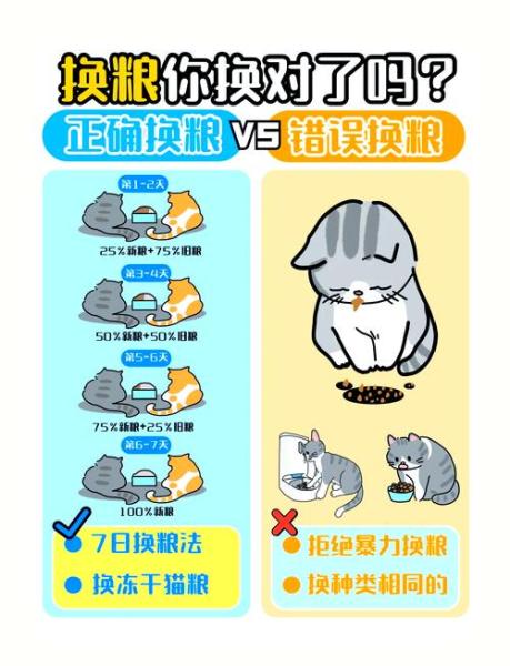 作为消费者“猫咪几岁算成年”你不能不知道-第3张图片 作为消费者“猫咪几岁算成年”你不能不知道-第3张图片