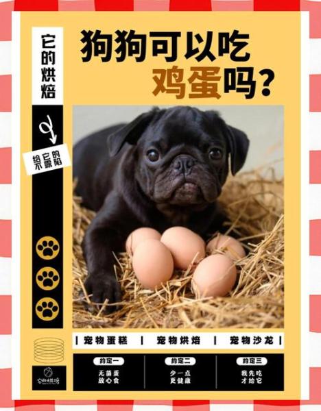解析“小狗能吃鸡蛋吗”你不知道的事-第4张图片 解析“小狗能吃鸡蛋吗”你不知道的事-第4张图片