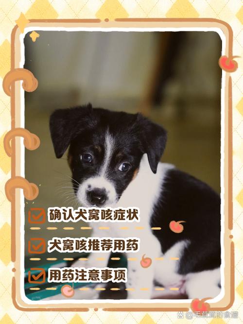 狗狗咳嗽吃啥药-怀孕的狗狗咳嗽吃啥药-第1张图片 狗狗咳嗽吃啥药-怀孕的狗狗咳嗽吃啥药-第1张图片