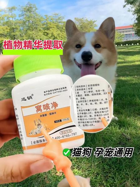 狗狗咳嗽吃啥药-怀孕的狗狗咳嗽吃啥药-第3张图片 狗狗咳嗽吃啥药-怀孕的狗狗咳嗽吃啥药-第3张图片