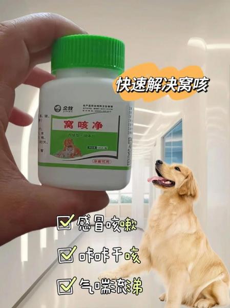 狗狗咳嗽吃啥药-怀孕的狗狗咳嗽吃啥药-第4张图片 狗狗咳嗽吃啥药-怀孕的狗狗咳嗽吃啥药-第4张图片