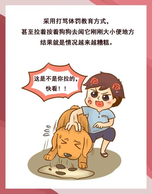 怎么让狗狗拉屎-怎样防止狗狗在门口大小便-第2张图片 怎么让狗狗拉屎-怎样防止狗狗在门口大小便-第2张图片