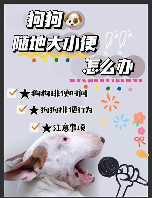 怎么让狗狗拉屎-怎样防止狗狗在门口大小便-第7张图片 怎么让狗狗拉屎-怎样防止狗狗在门口大小便-第7张图片
