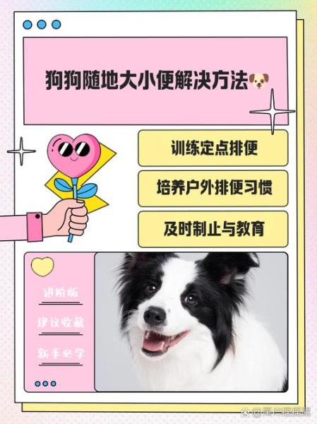 怎么让狗狗拉屎-怎样防止狗狗在门口大小便-第8张图片 怎么让狗狗拉屎-怎样防止狗狗在门口大小便-第8张图片
