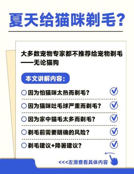 猫咪需要剃毛吗,猫可以剃毛吗防止掉毛吗-第8张图片 猫咪需要剃毛吗,猫可以剃毛吗防止掉毛吗-第8张图片