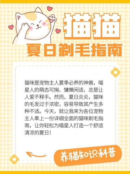 猫咪需要剃毛吗,猫可以剃毛吗防止掉毛吗-第9张图片 猫咪需要剃毛吗,猫可以剃毛吗防止掉毛吗-第9张图片