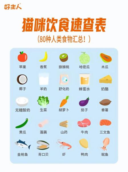 猫能吃啥,猫能吃啥人吃的东西-第4张图片 猫能吃啥,猫能吃啥人吃的东西-第4张图片