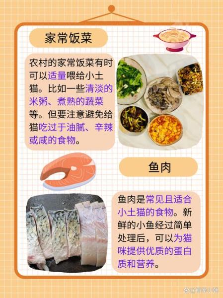 猫能吃啥,猫能吃啥人吃的东西-第7张图片 猫能吃啥,猫能吃啥人吃的东西-第7张图片