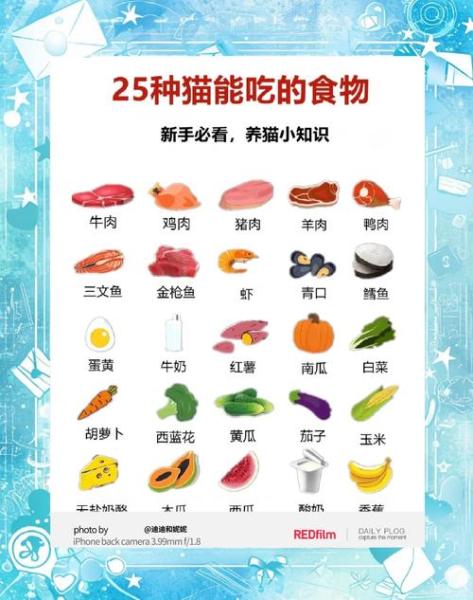 猫能吃啥,猫能吃啥人吃的东西-第8张图片 猫能吃啥,猫能吃啥人吃的东西-第8张图片